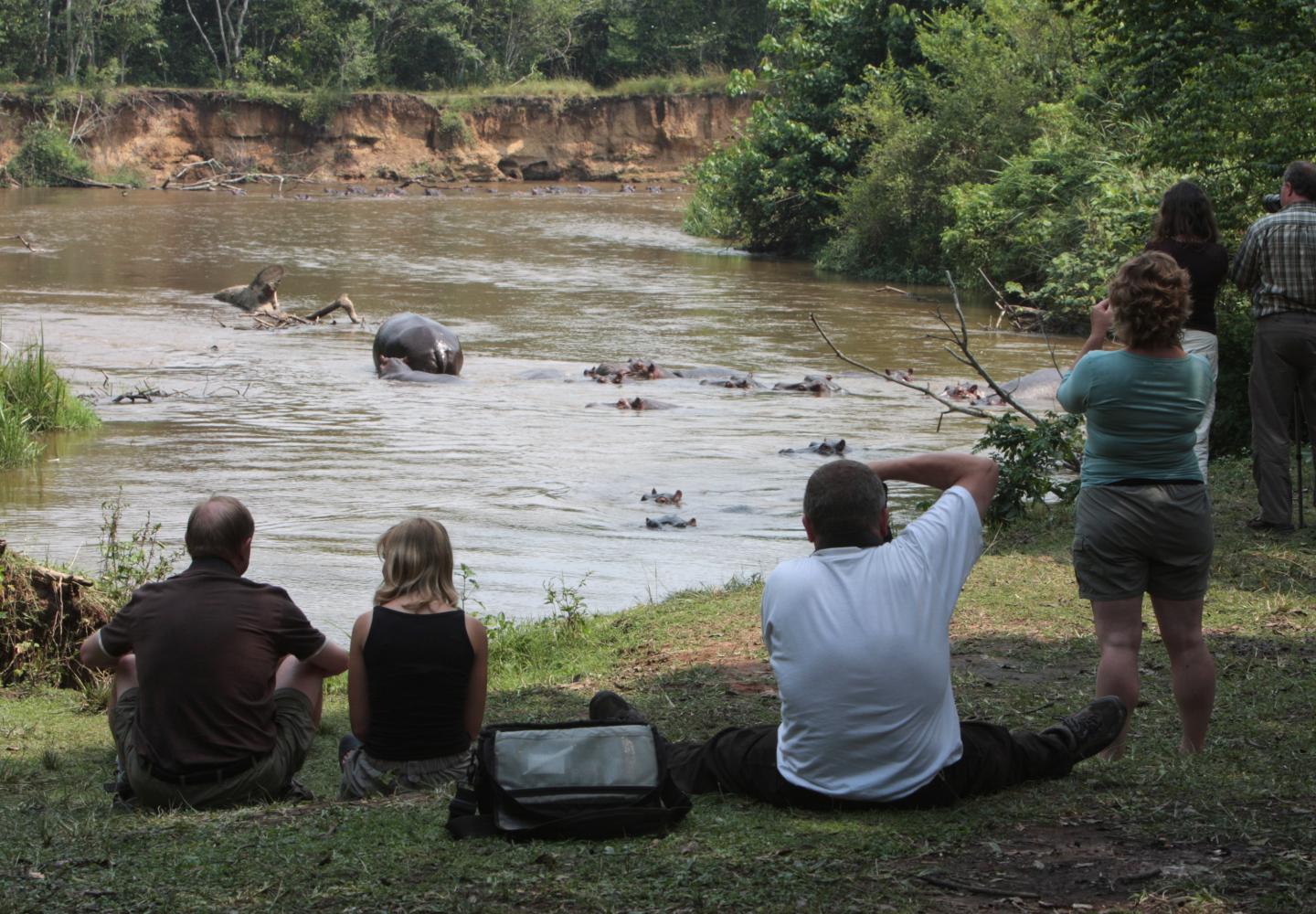 Spotting hippo on the Ishasha River, Queen Elizabeth NPUganda